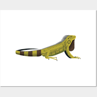 Iguana Posters and Art